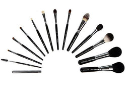 Piccasso premium brush 14 set