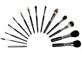 Piccasso premium brush 14 set